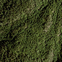 Satellite imagery of Mount Liddell, CA