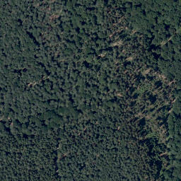 Satellite imagery of Eckberg, DE