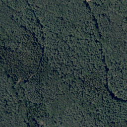 Satellite imagery of Sensberg, DE