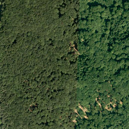 Satellite imagery of Zankelstein, DE