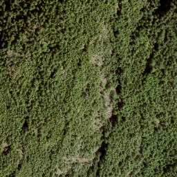 Satellite imagery of Mount Liddell, CA