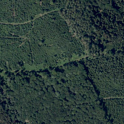 Satellite imagery of Flockenbusch, DE