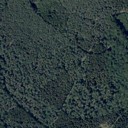 Satellite imagery of Sensberg, DE