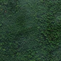 Satellite imagery of Sendeturm Löffelstelzen, DE