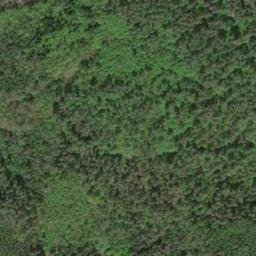 Satellite imagery of Buchberg, DE