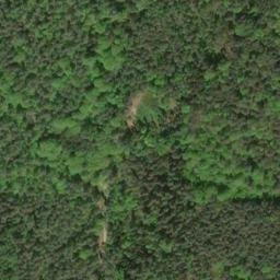 Satellite imagery of Buchberg, DE