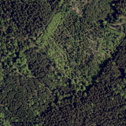 Satellite imagery of Drechselberg, DE