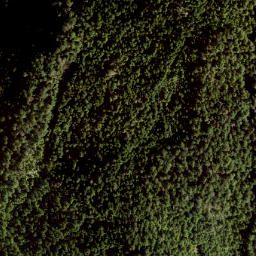 Satellite imagery of Mount Liddell, CA