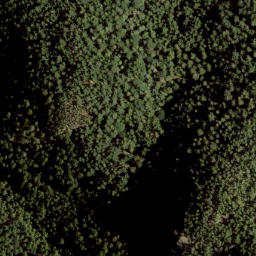 Satellite imagery of Burt's Peak, CA