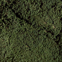 Satellite imagery of Burt's Peak, CA