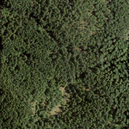 Satellite imagery of Burt's Peak, CA