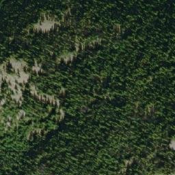 Satellite imagery of Tanglewood Hill, CA