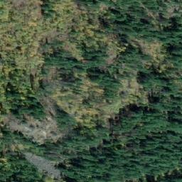 Satellite imagery of Burns Point, CA