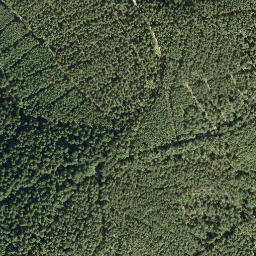 Satellite imagery of Kühberg, DE