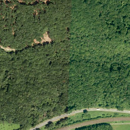 Satellite imagery of Zankelstein, DE