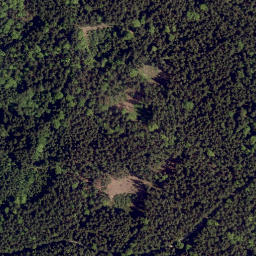 Satellite imagery of Drechselberg, DE