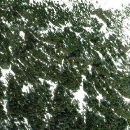 Satellite imagery of Mount Stubbs, CA