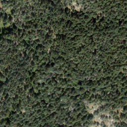 Satellite imagery of Wolf Point, CA