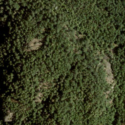 Satellite imagery of Burt's Peak, CA