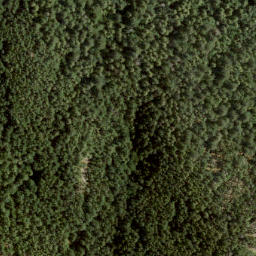 Satellite imagery of Burt's Peak, CA