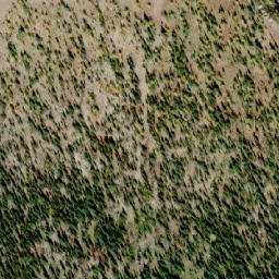 Satellite imagery of Mount Lasca, CA