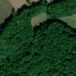 Satellite imagery of Wieselsberg, DE