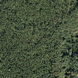 Satellite imagery of Krummholzerstuhl, DE