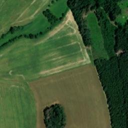 Satellite imagery of Rodkovský les, CZ