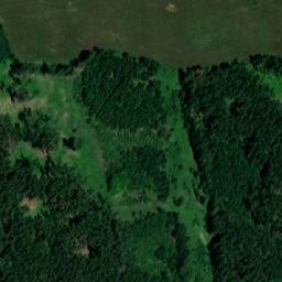 Satellite imagery of Rodkovský les, CZ