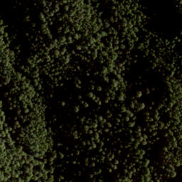 Satellite imagery of Burt's Peak, CA