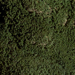 Satellite imagery of Burt's Peak, CA