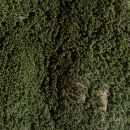 Satellite imagery of Burt's Peak, CA