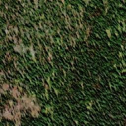 Satellite imagery of Mount Lasca, CA