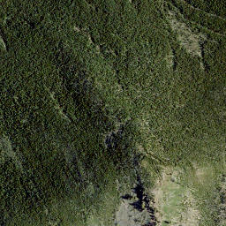 Satellite imagery of Hastings Ridge, CA
