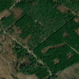 Satellite imagery of Nameless Point, DE