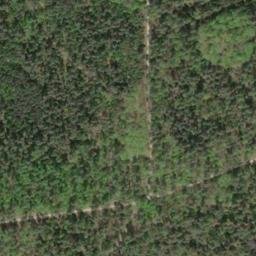 Satellite imagery of Dachsberg, DE