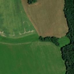 Satellite imagery of Rodkovský les, CZ