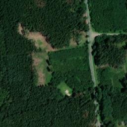 Satellite imagery of Rodkovský les, CZ