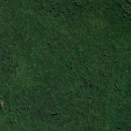 Satellite imagery of Rytro, PL