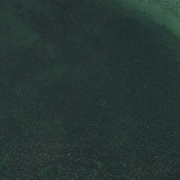 Satellite imagery of Grassy Point, CA