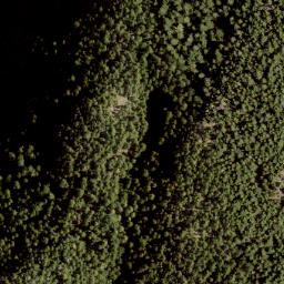 Satellite imagery of Mount Killam, CA