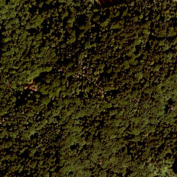 Satellite imagery of Houbirg, DE