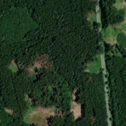 Satellite imagery of Rodkovský les, CZ