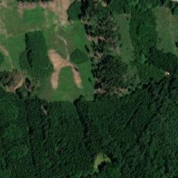 Satellite imagery of Rodkovský les, CZ