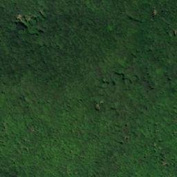 Satellite imagery of Rytro, PL