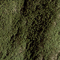 Satellite imagery of Mount Killam, CA
