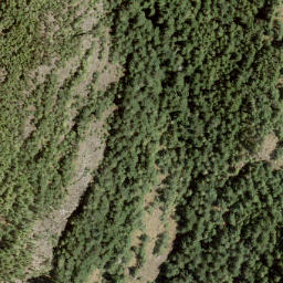 Satellite imagery of Mount Killam, CA