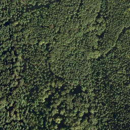 Satellite imagery of Leuchtenberg, DE