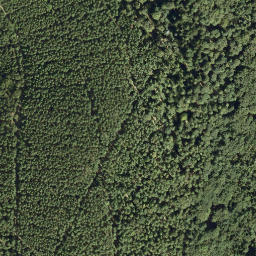 Satellite imagery of Toter Mann, DE