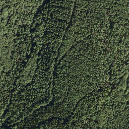 Satellite imagery of Toter Mann, DE